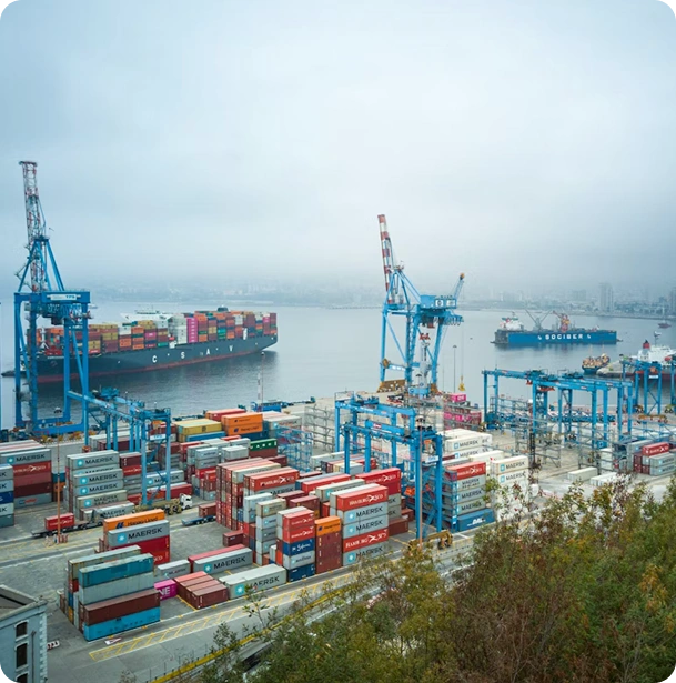 Supply Chain Tactical Training